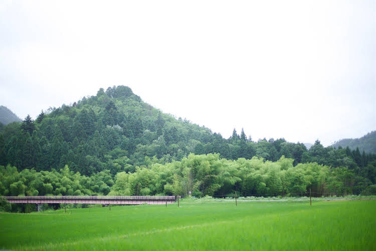 miyama futon and breakfast thatched cottages