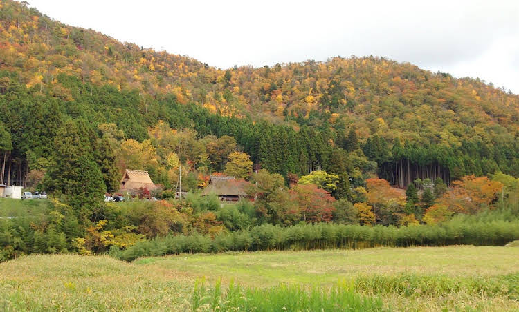 miyama futon and breakfast thatched cottages