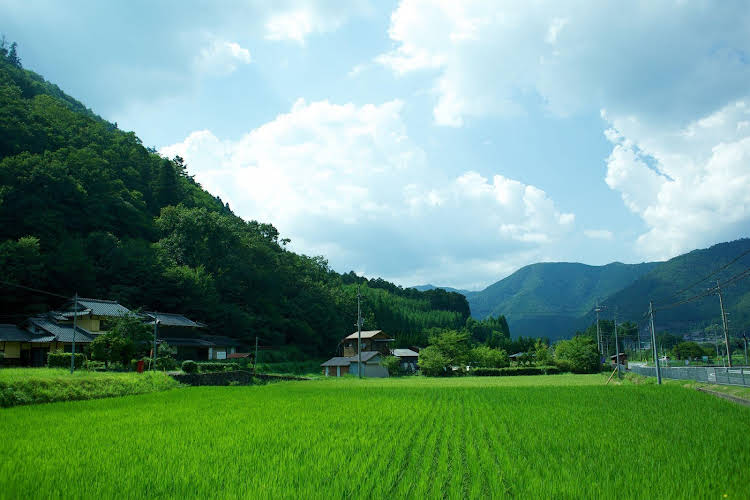 miyama futon and breakfast thatched cottages
