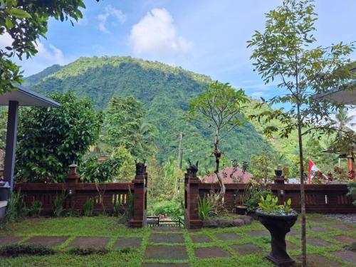 sekumpul guest house