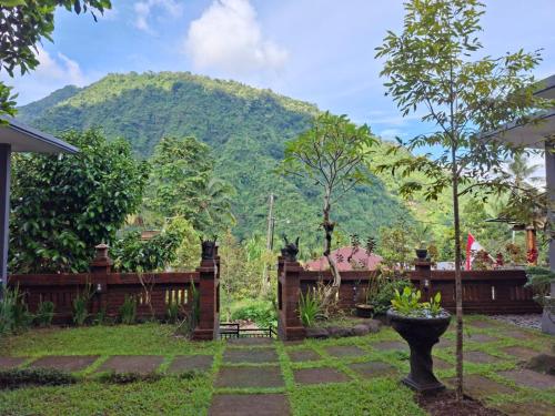 sekumpul guest house