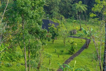 shankara forest haven villa by agata