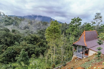 shankara forest haven villa by agata
