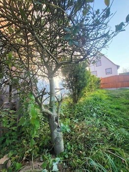 apartment kostera