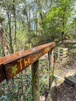 paterson skywalk and bush bedroom