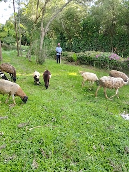 blue zone kenya resorts and game drives