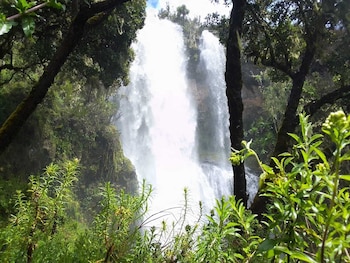 blue zone kenya resorts and game drives