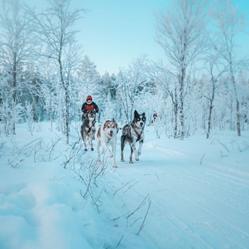 lapland glow chalets