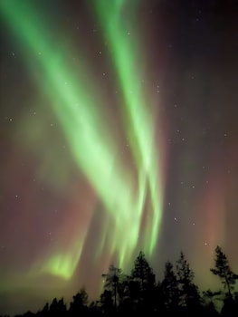lapland glow chalets