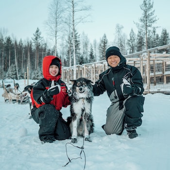 lapland glow chalets