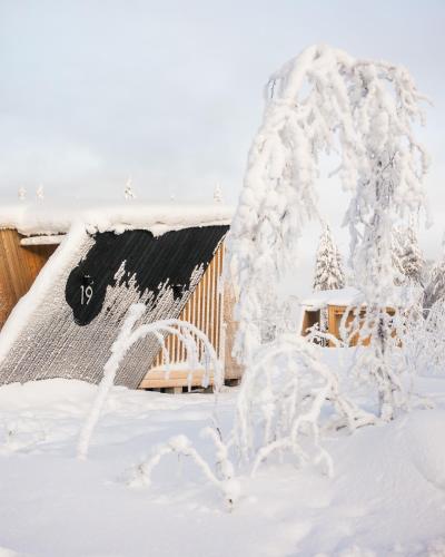 lapland glow chalets