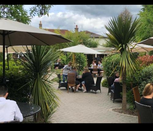 winterborne kingston