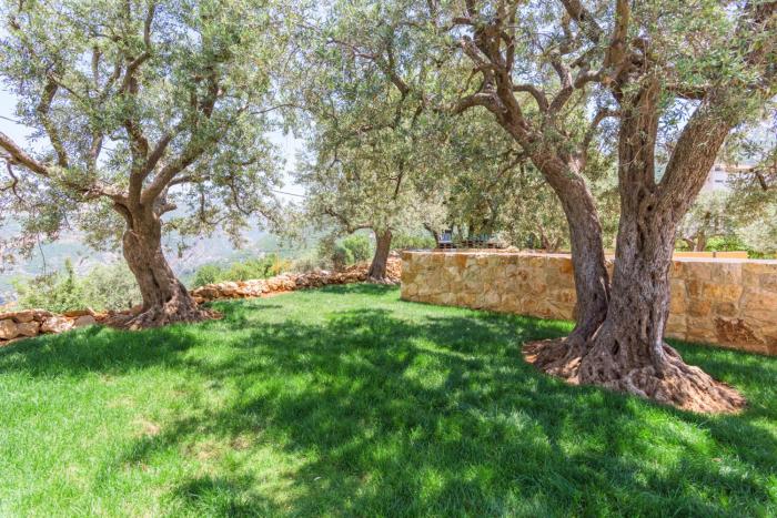 lauberge de douma full house in batroun