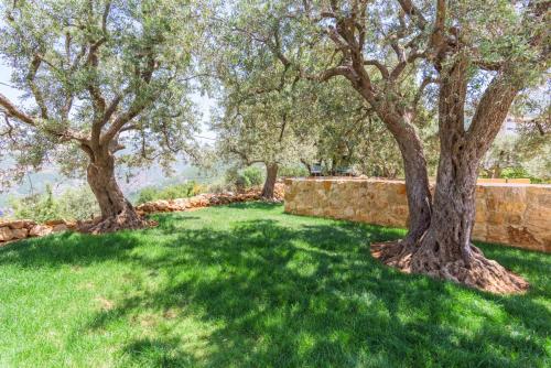 lauberge de douma full house in batroun