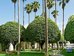delano south beach