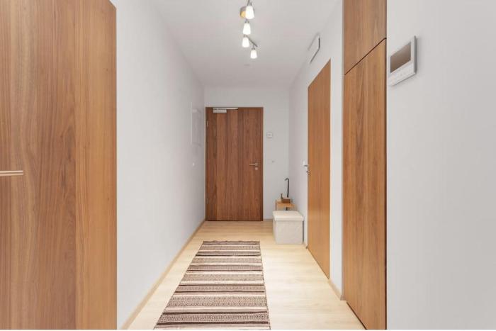 premium downtown queen apartment kartuli