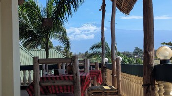 kilimanjaroo inn