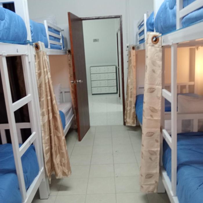 central hostel hostel and coworking