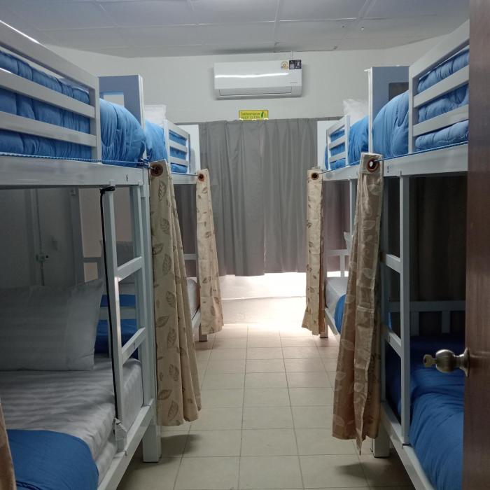 central hostel hostel and coworking