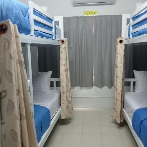 central hostel hostel and coworking