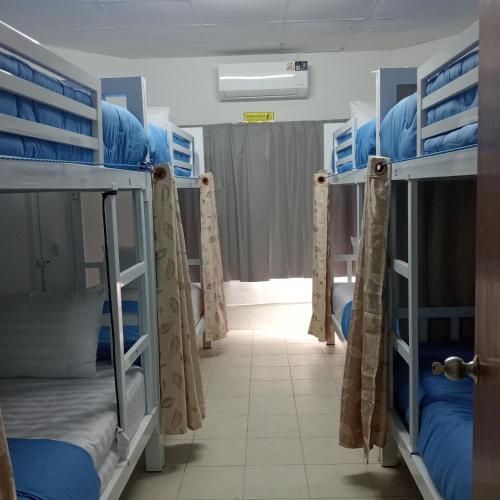 central hostel hostel and coworking