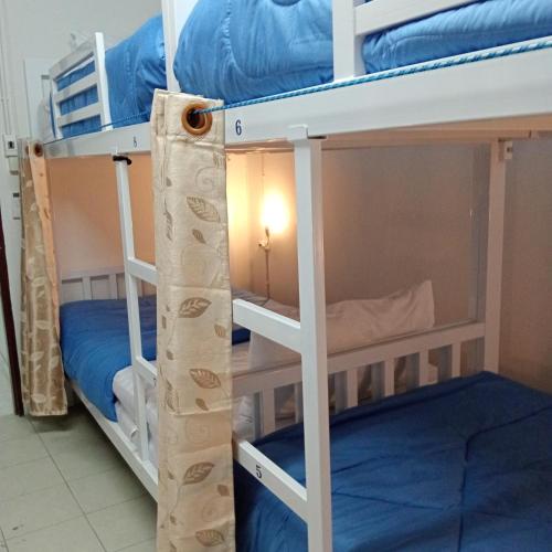 central hostel hostel and coworking