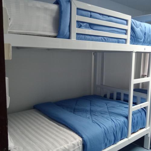 central hostel hostel and coworking