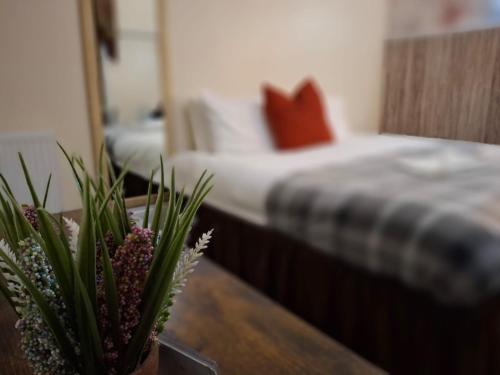 Studio 24-Free Private Parking,,2 star