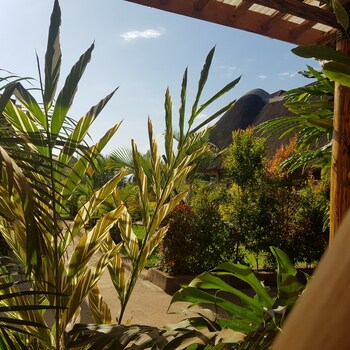 african roots entebbe