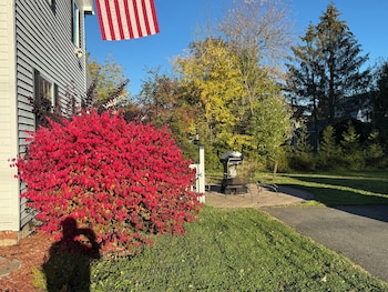 pine tree trail lodge