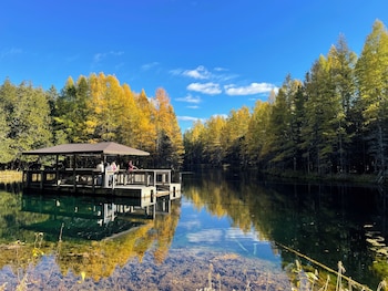 peninsula point lodge