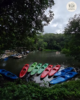 dandeli inn resort