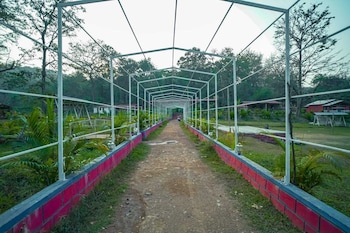 dandeli inn resort