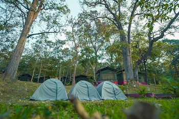 dandeli inn resort