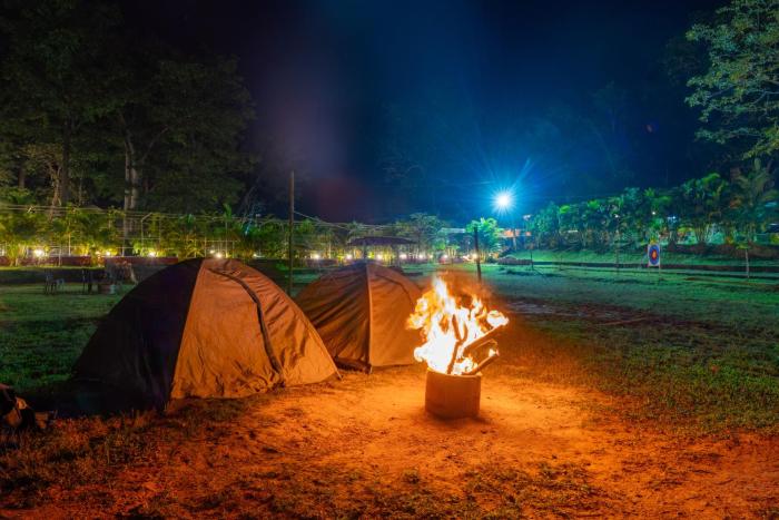dandeli inn resort