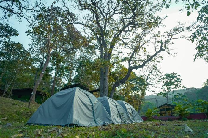 dandeli inn resort