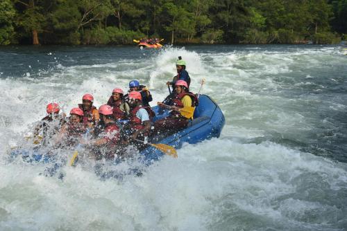dandeli inn resort