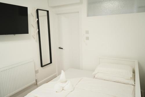 concept rooms