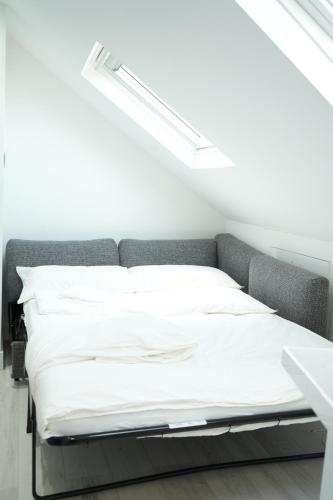 concept rooms