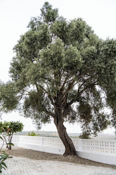 herdade do carregoucal