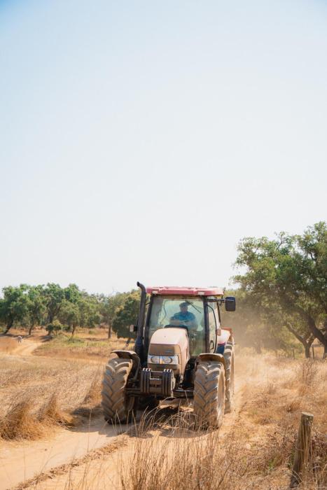 herdade do carregoucal