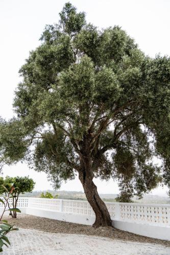 herdade do carregoucal