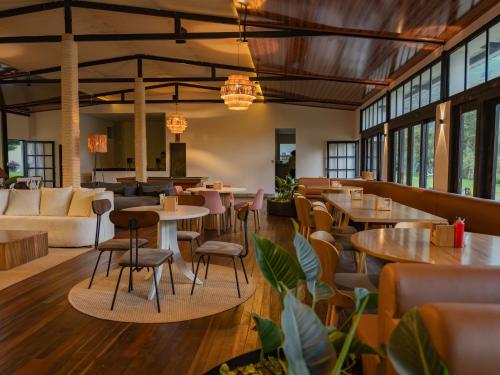 dreamer cocora