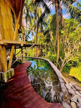green lander ubud