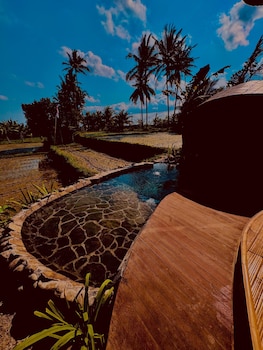 green lander ubud