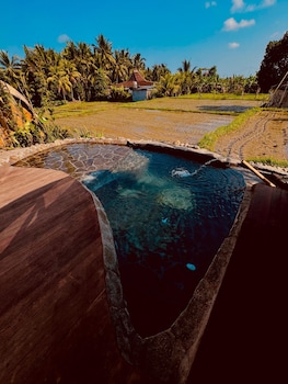 green lander ubud