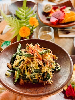 green lander ubud