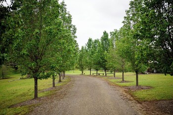 Redwood Park Wollombi,,5 star
