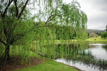 Redwood Park Wollombi,,5 star