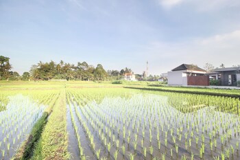 vila padma bali a trishula collection